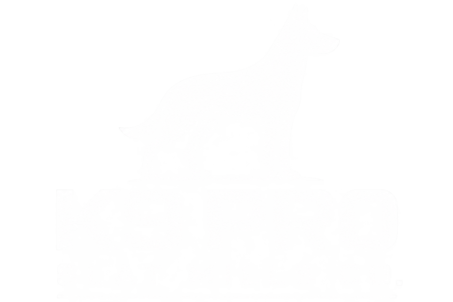 k9proslatmillsco.com